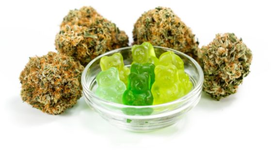 clear bowl filled with gummy bears and marijuana buds around isolated on a white background. CBD gummies