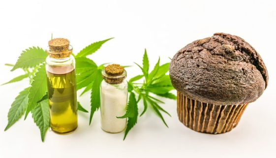 cbd isolate infused muffin next to marijuana plants