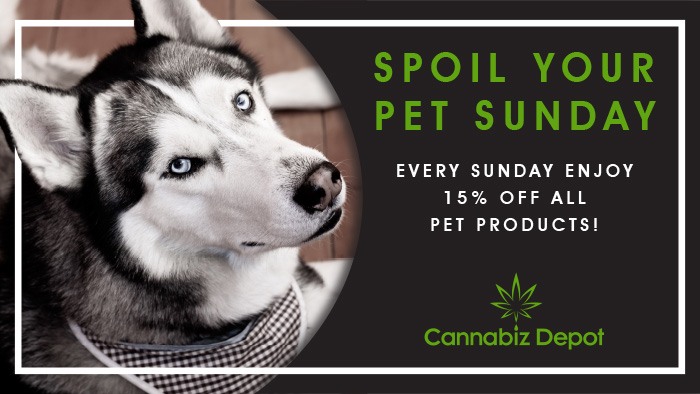 Spoil Your Pet Sunday - Enjoy 15% off all pet products every Sunday at Cannabiz Depot in La Crosse, Wisconsin.